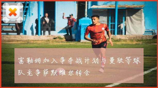富勒姆加入争夺战计划与曼联等球队竞争萨默维尔转会
